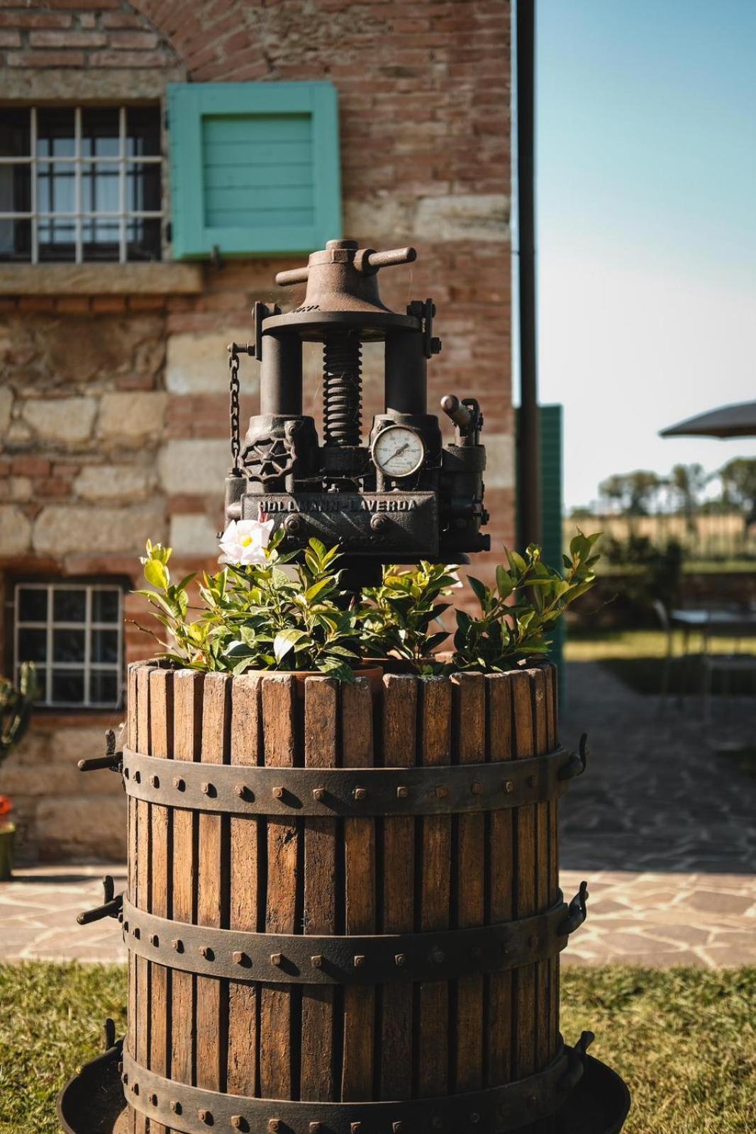 Podere Gli Olmi Cecina  Eksteriør billede