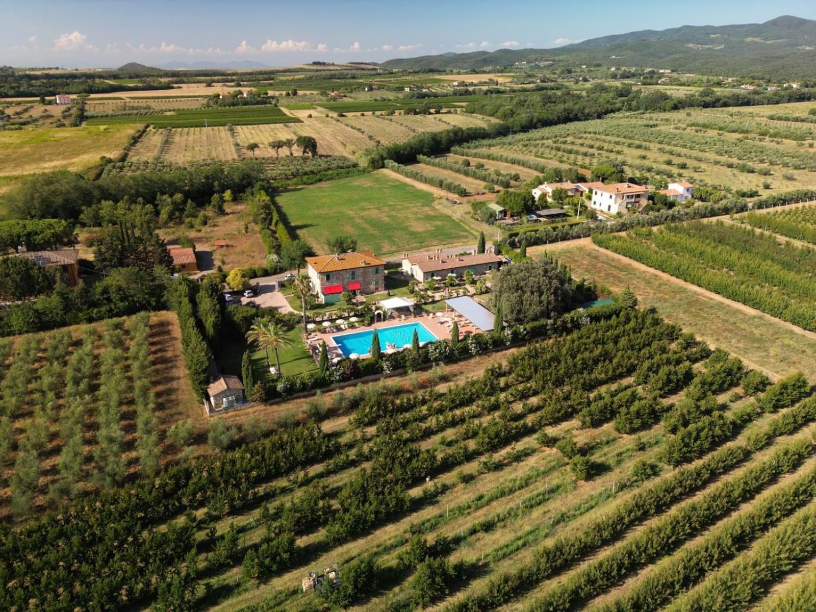Podere Gli Olmi Cecina  Eksteriør billede