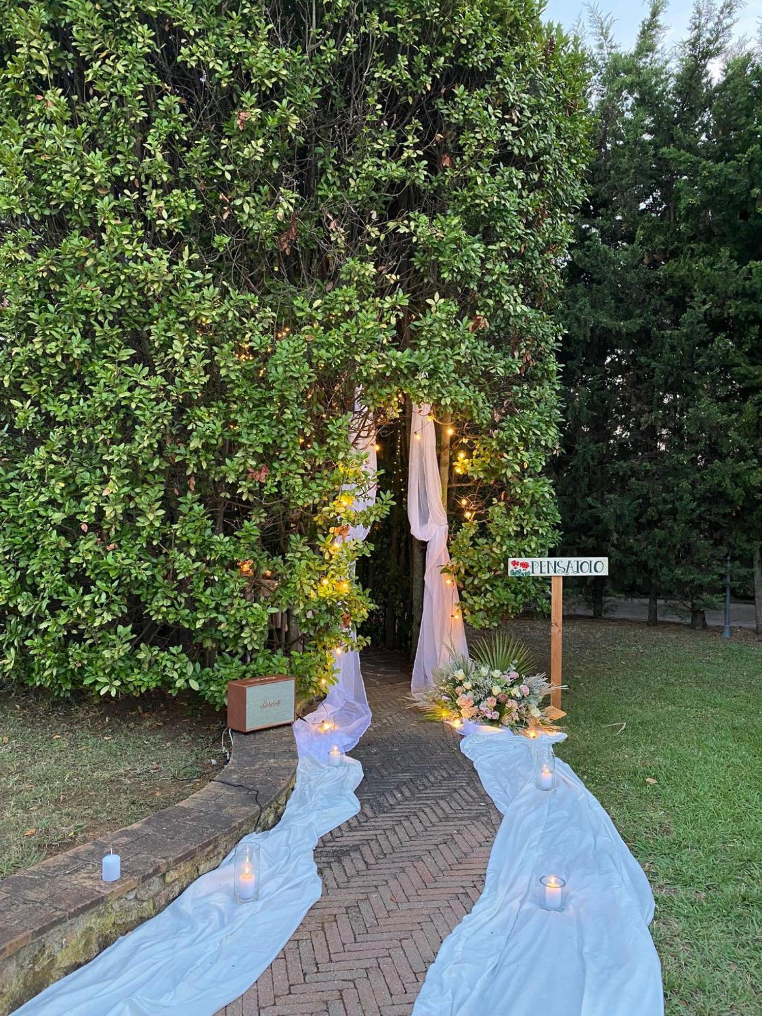 Podere Gli Olmi Cecina  Eksteriør billede